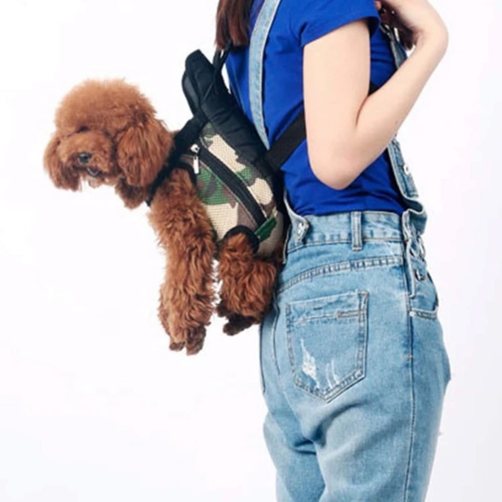 Pet carrier bag in multicolor